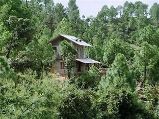 Frozen Woods Resort Mukteshwar Bagian luar foto